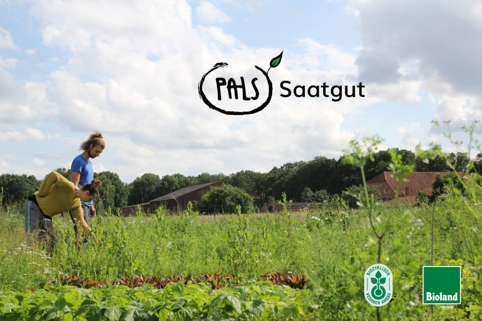 PalS Logo mit Schriftzug